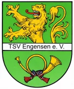 211_tsve
